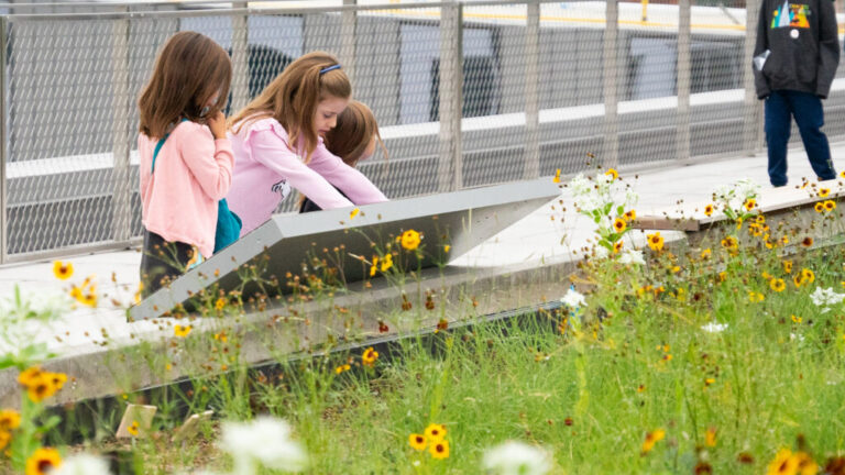 Photo of three children reading about the wildflowers on a rooftop at CSU Spur.